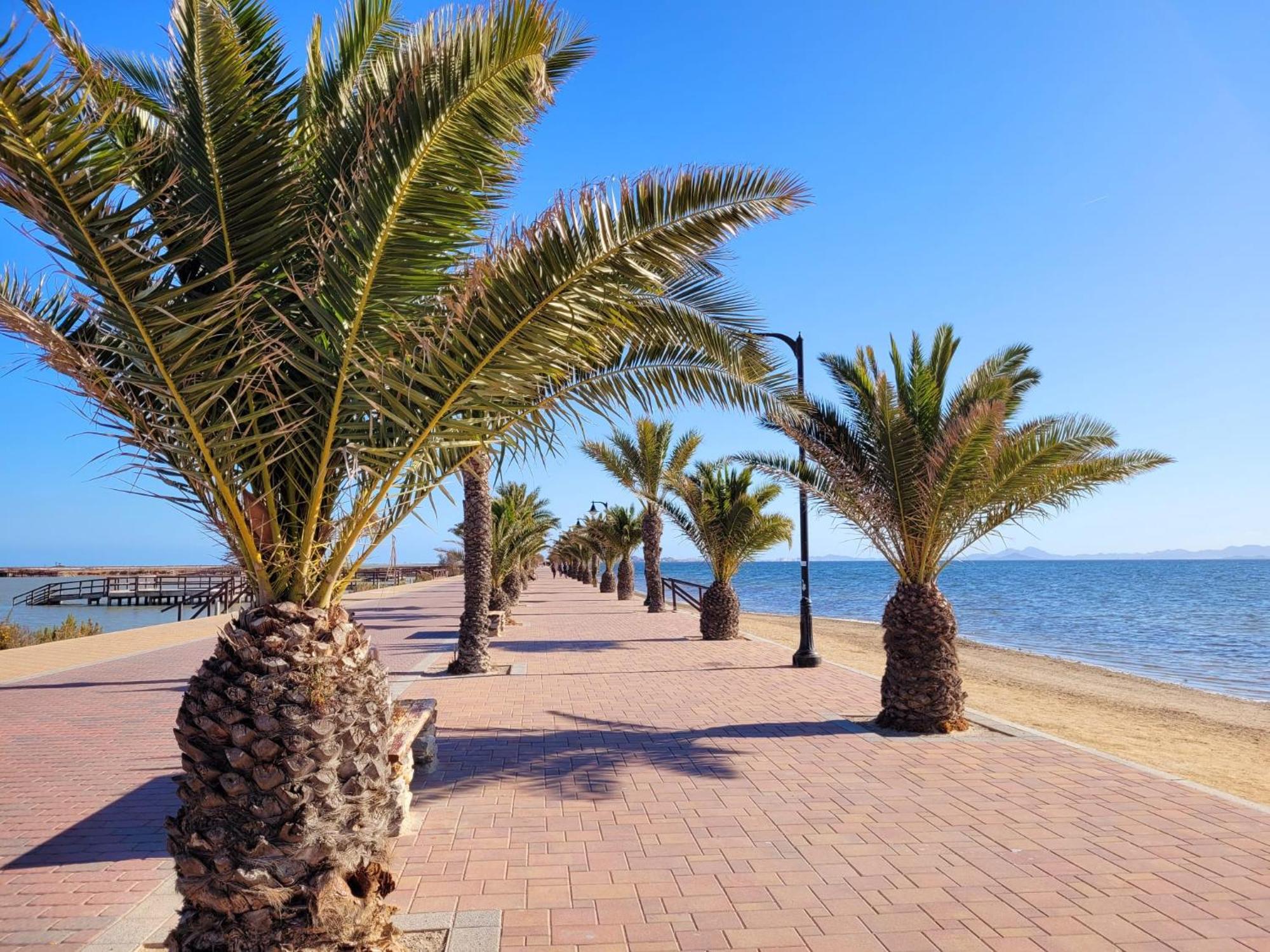 Appartamento Casa La Palmera Sunrise